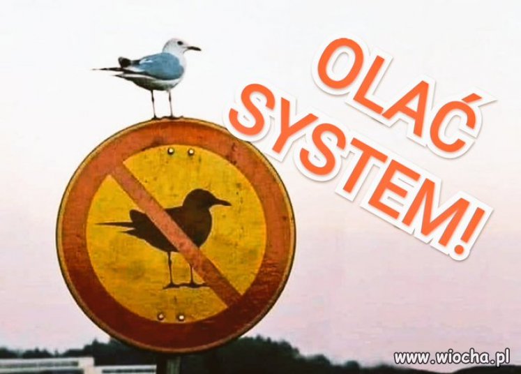 Jeśli to nie Ty zaczniesz olewać system,