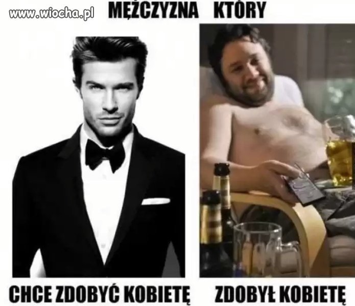 Fakty