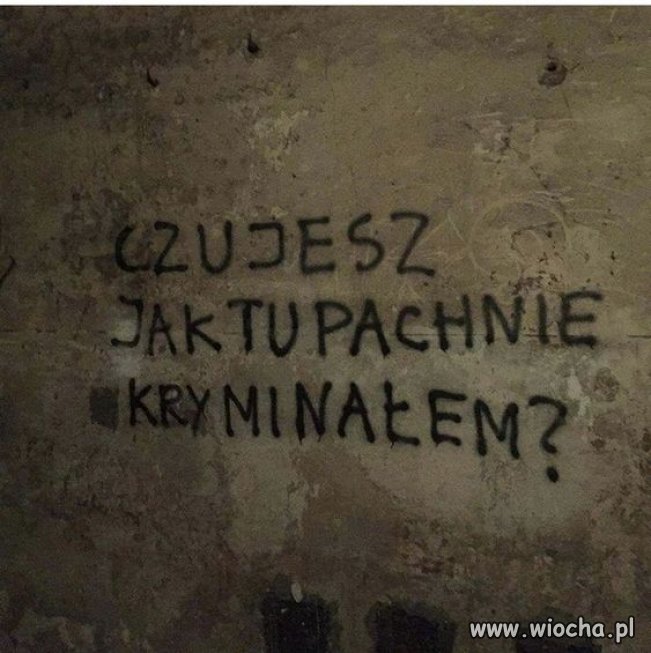 W kamienicy PIS
