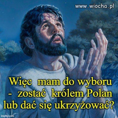 Dylemat Syna Cieśli