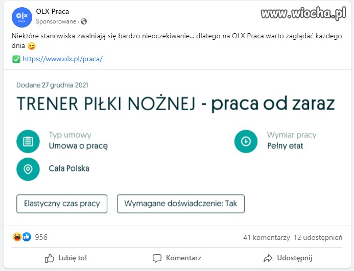 Praca szuka człowieka