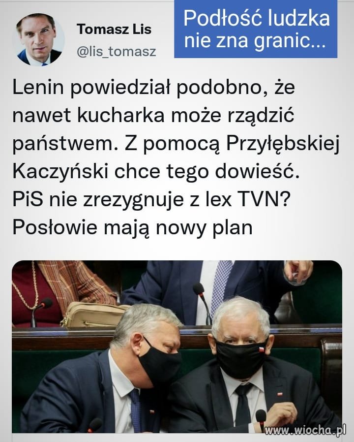 Kuchara rządzi 
