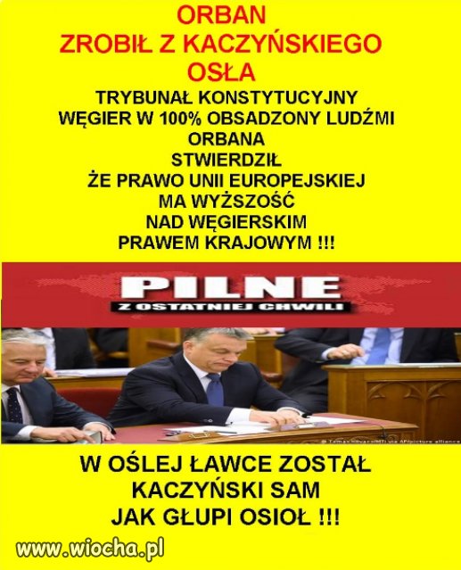 Polska PiSu znów w oślej ławce w Europie...