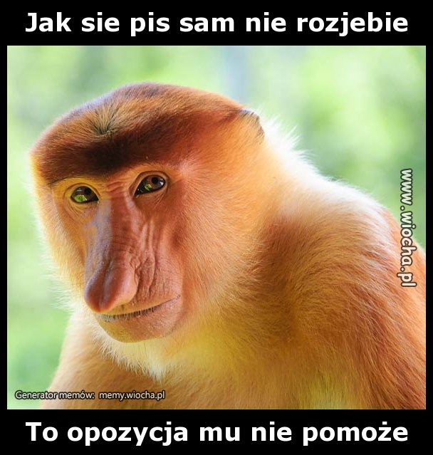 Jak sie pis sam nie roz*ebie