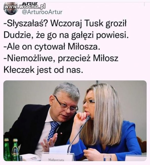 Ten znowu nie czai