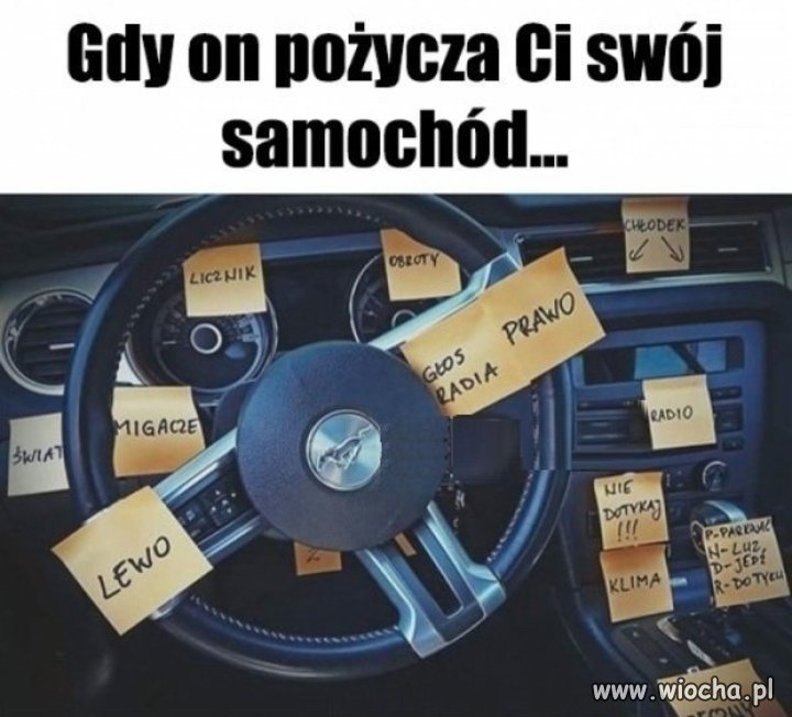 Tytułu brak 