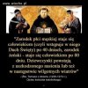 Kolejne fakty