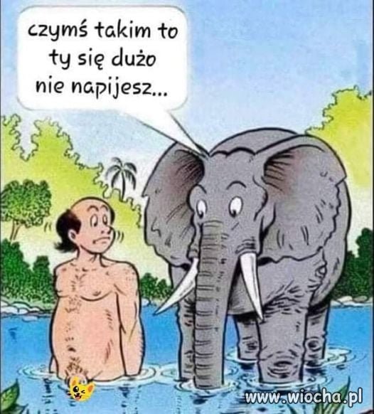 Ja się cieszę