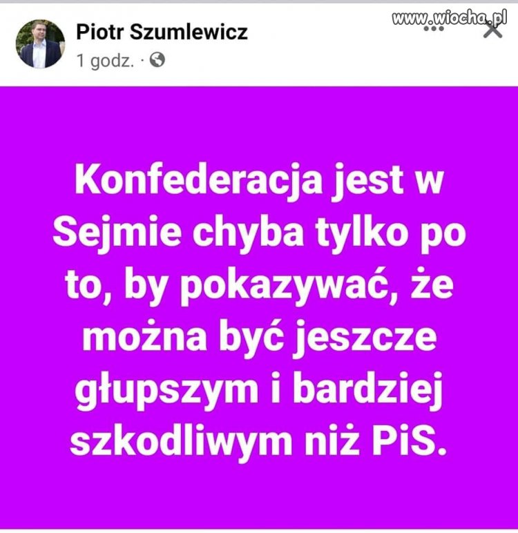 Zapewne 