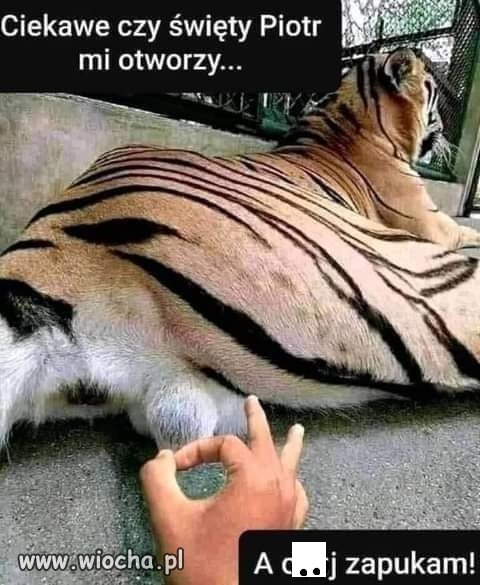 I tgo jest właśnie 