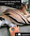 I tgo jest właśnie 