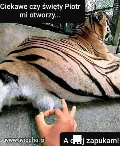 I tgo jest właśnie 