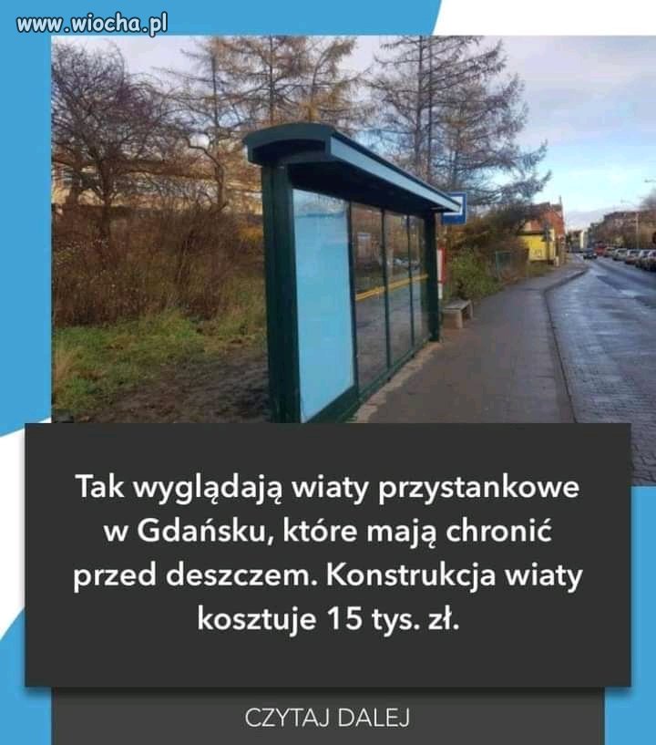 Wiaty 