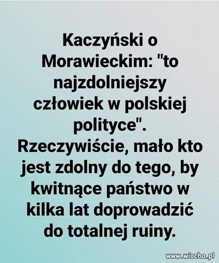 Najzdolniejszy ze zdolnych 