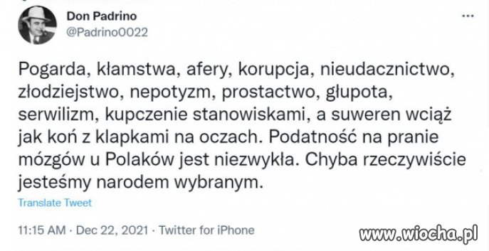 Naród wybrany PiSu...