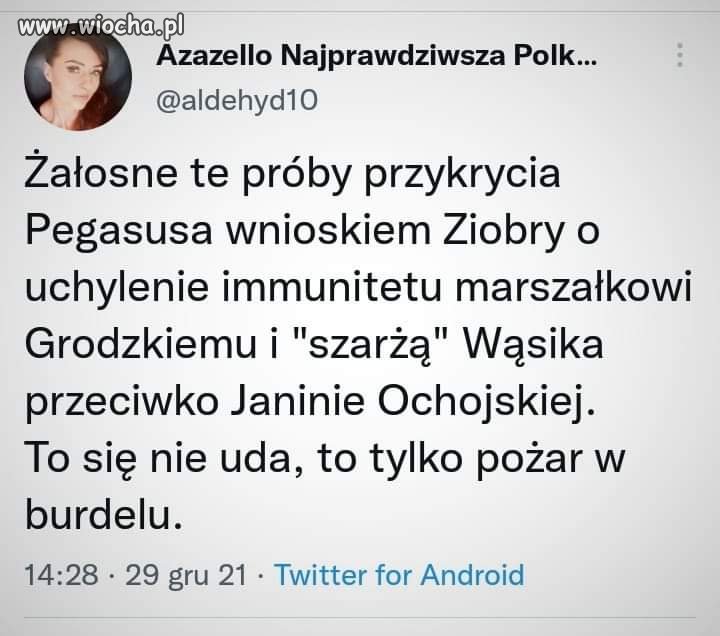 Burdel to najlepsze określenie. 