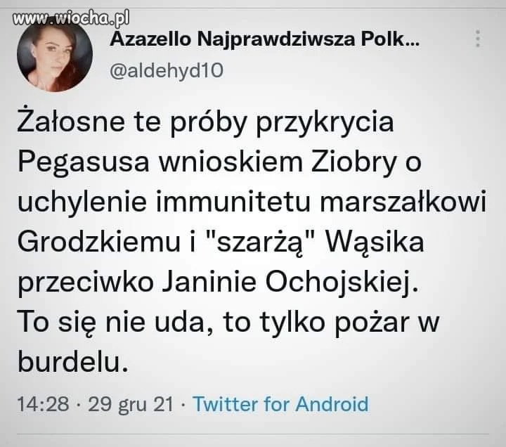 Burdel to najlepsze określenie. 