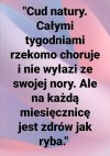 Cudowny ozdrowieniec