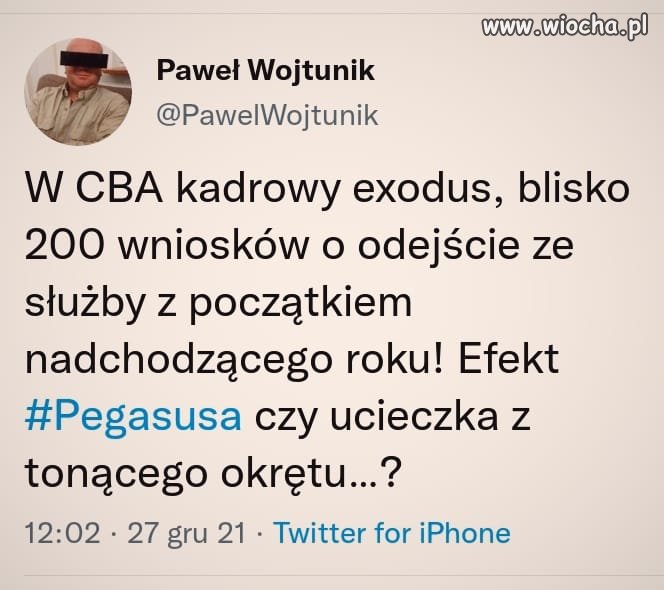 Panika szczurów ? 