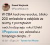 Panika szczurów ? 