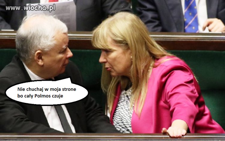 Wez mietuska