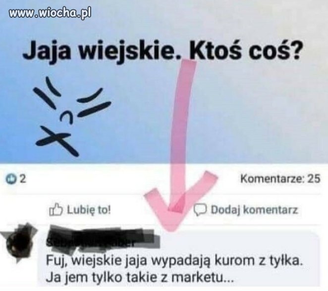 Znawca