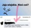 Znawca