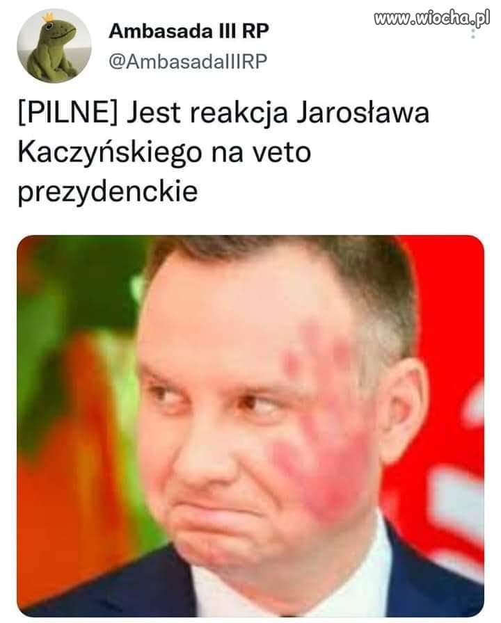 Nieposłuszność