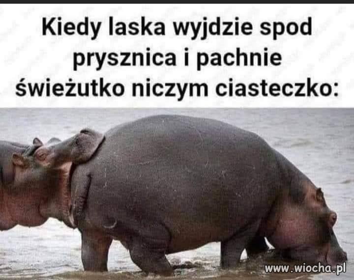 Także ten...