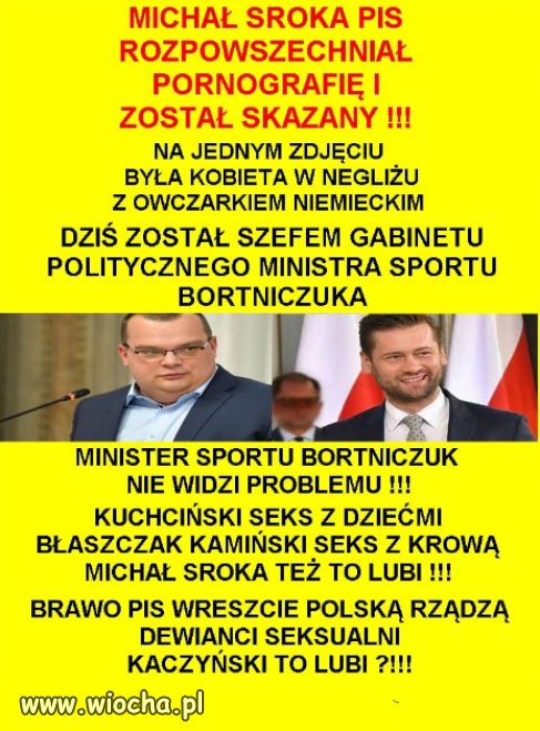 PiSowskie ELYTY, prawdziwi katolicy z chrzescijanskimi wartosciami