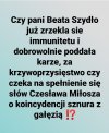 Dobre pytanie ...