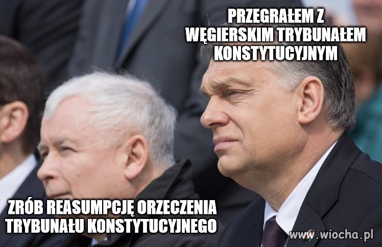 Dobra rada prezesa