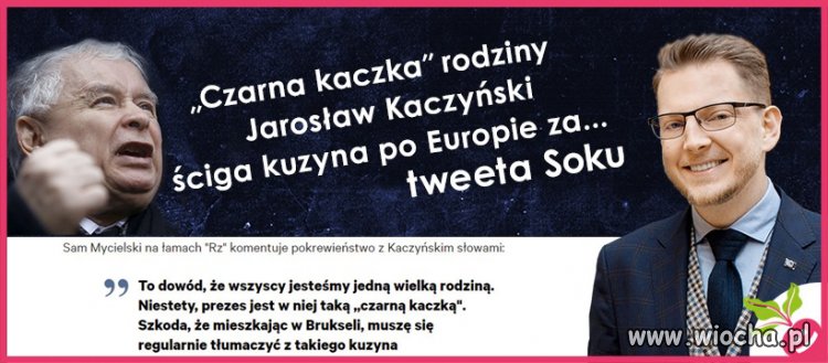 Z rodziną to najlepiej na obrazku 