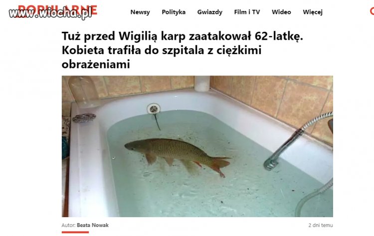 To musiał być karp ludojad.
