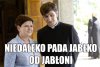 Dobrali się