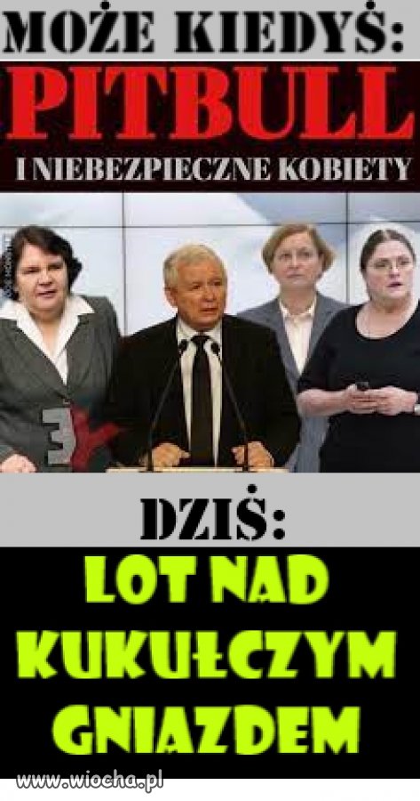 Kiedyś - może, ale nie dziś