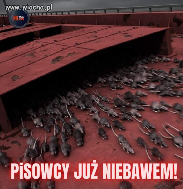 Tymczasem na ul Nowogrodzkiej