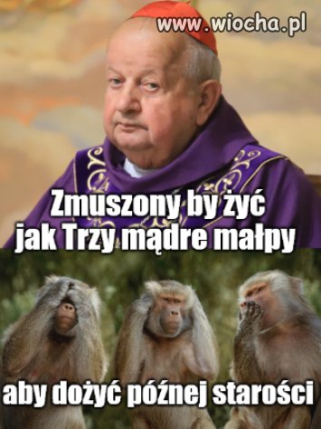 Pokora albo do wora. Watykańska metafora