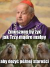 Pokora albo do wora. Watykańska metafora