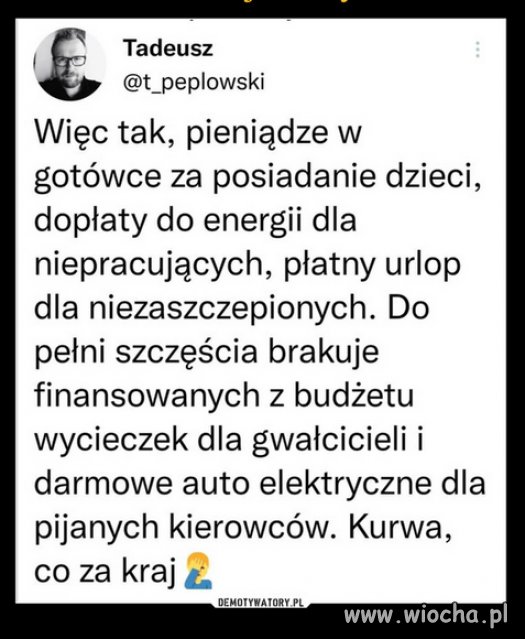 PiS dba o elektorat nierobow! Nieróbstwo się opłaca