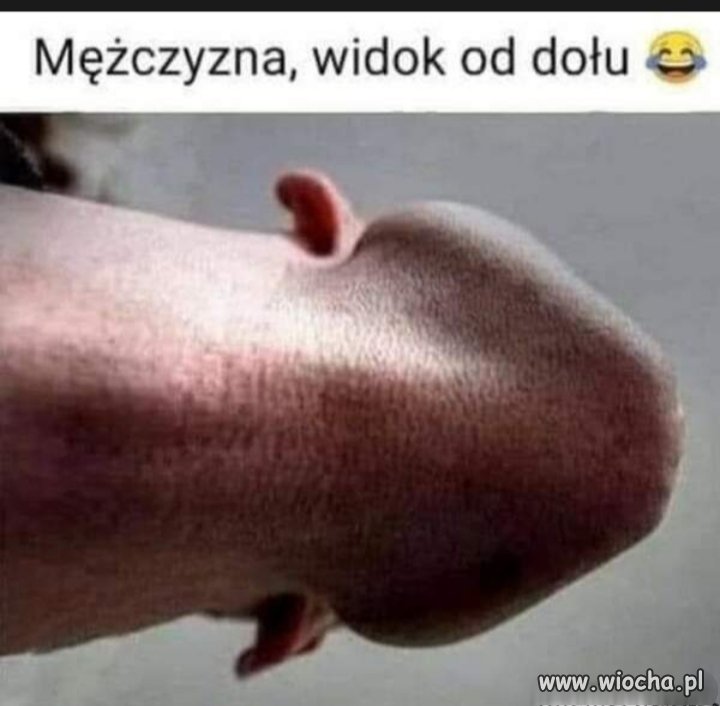 Widok od dołu 