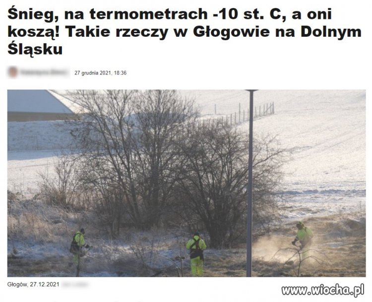 Śnieg, na termometrach -10 st. C, a oni koszą!