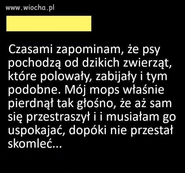 Aż sobie to 