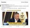 Zajęty i pracowity jak duda