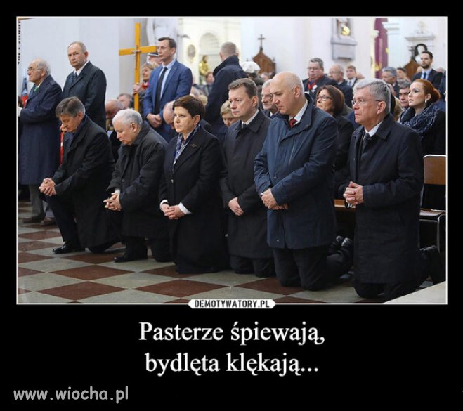 Cuda, cuda ogłaszają...kto nas oswobodzi?