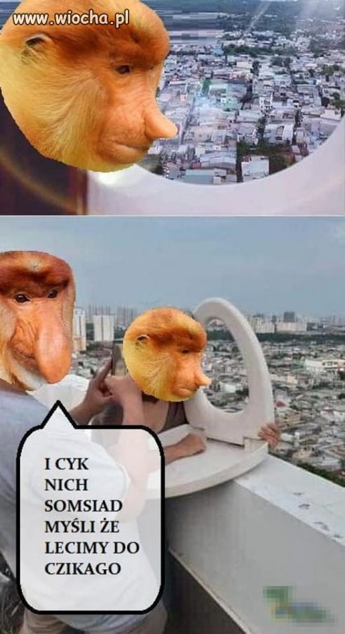 Somsiad złodziej