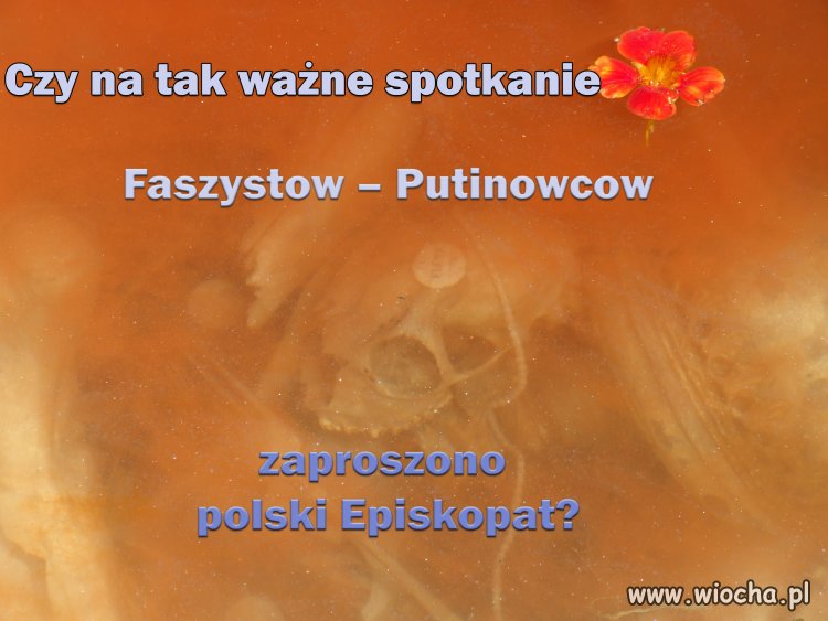 Wierze w kosciol powszechny