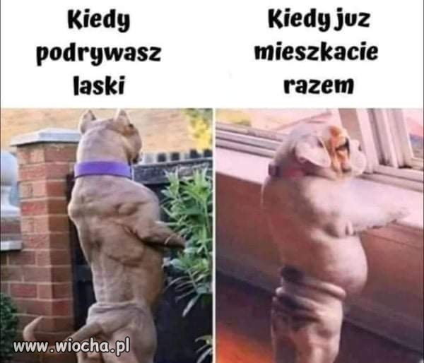 Dokładnie 