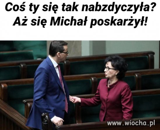 Tytułu brak.