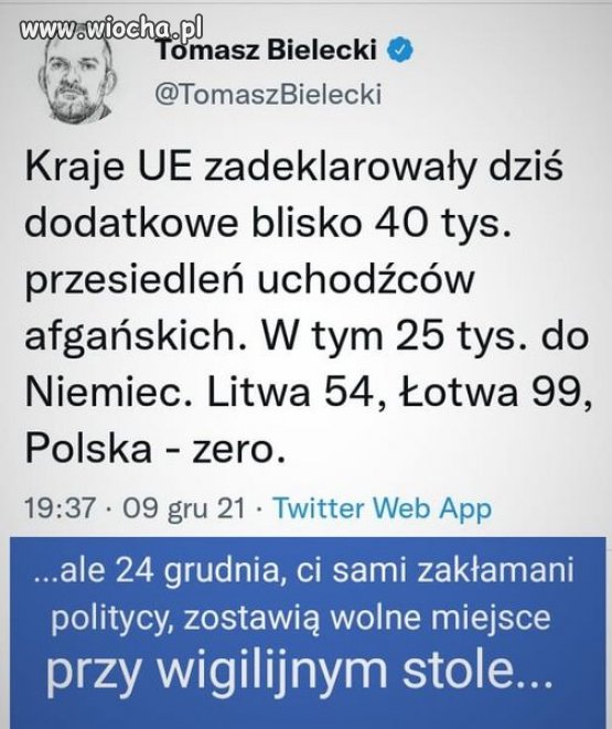Zakłamane szuje